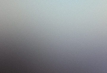 Sed Consequat Phasellus