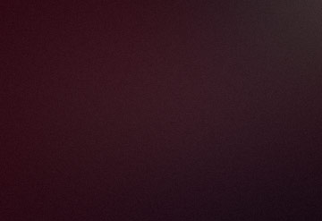 Nunc Vehicula Id Nulla