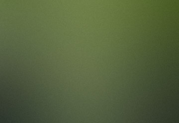 Vehiculla Id Nulla Dignissim